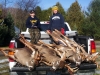 4 Deer