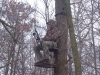 Tree Stand