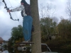 Tree Stand