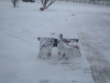Crossbow Snowfall Camo