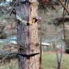 Beast Gear Climbing Stick