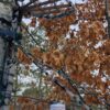 Smoke Camo Kit Wrapped Treestand